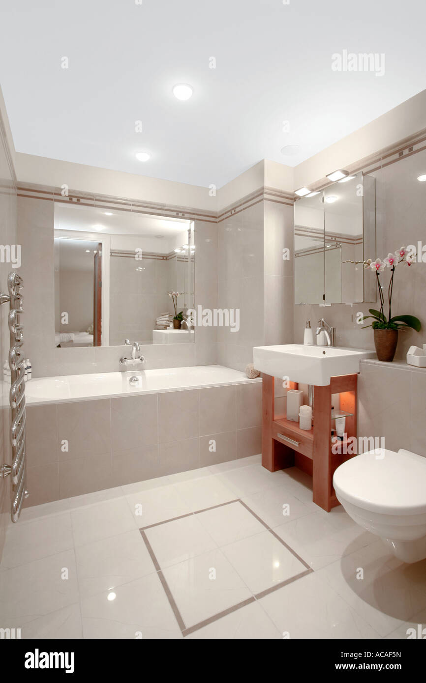 Baignoire, salle de bains, salle de bains,toilettes,intérieur,baignoire,toilettes ablutions,lavabo,stand,clean,baignade,marié,nettoyage,nettoyage,douche, Banque D'Images