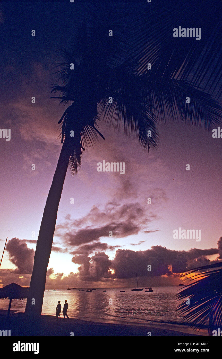 Palm tree silhouetted against sunset avec couple strolling down plage Caraïbes Antigua Banque D'Images