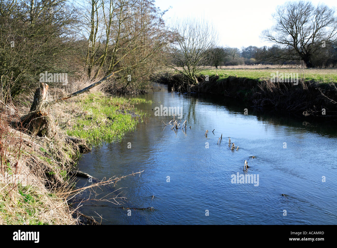 Loddon River au printemps Banque D'Images