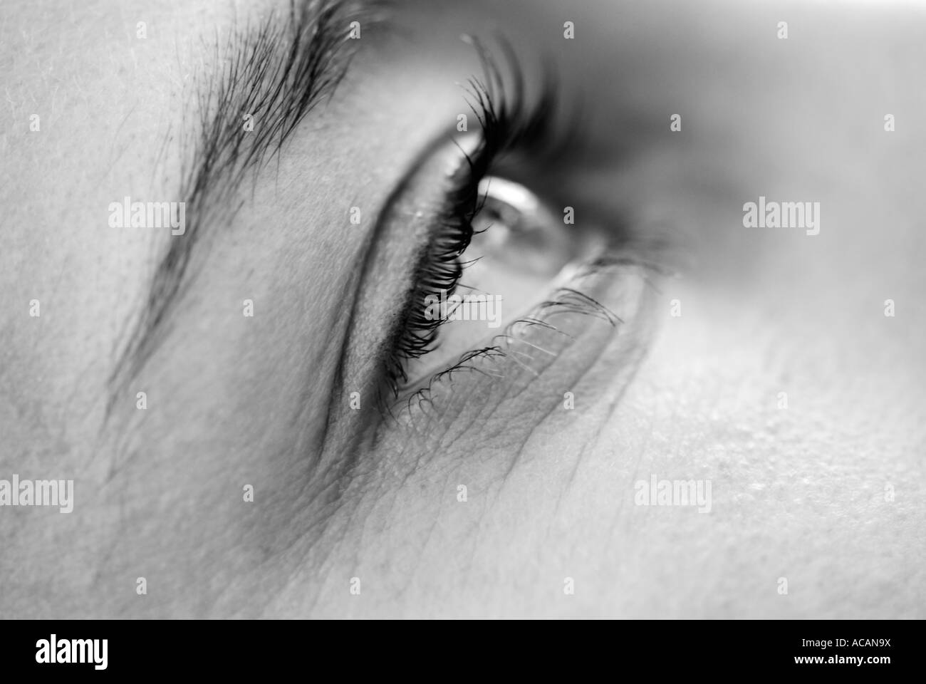 Yeux de la femme Banque D'Images