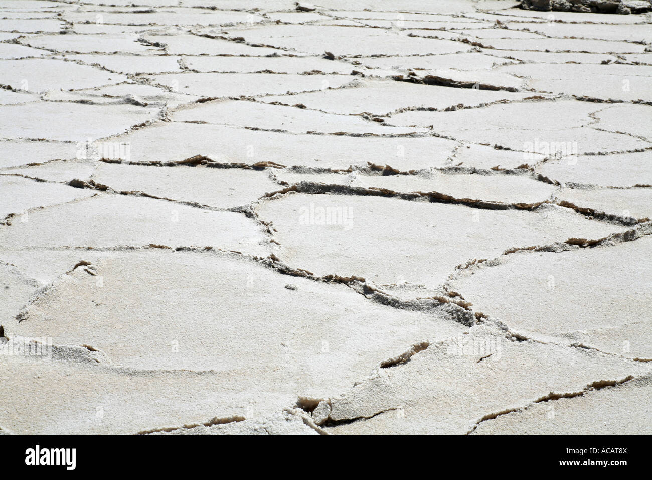Polygones de sel dans le désert de Mojave, Californie, USA Banque D'Images
