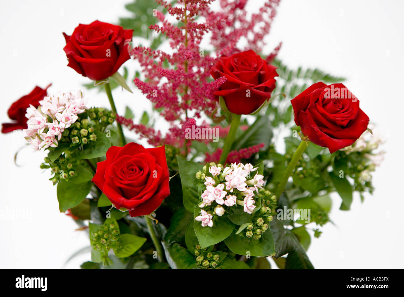 Bouquet de roses rouges dans un pot en métal Banque D'Images