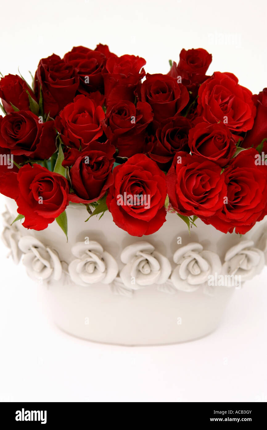 Roses rouges dans un vase en céramique blanche Banque D'Images