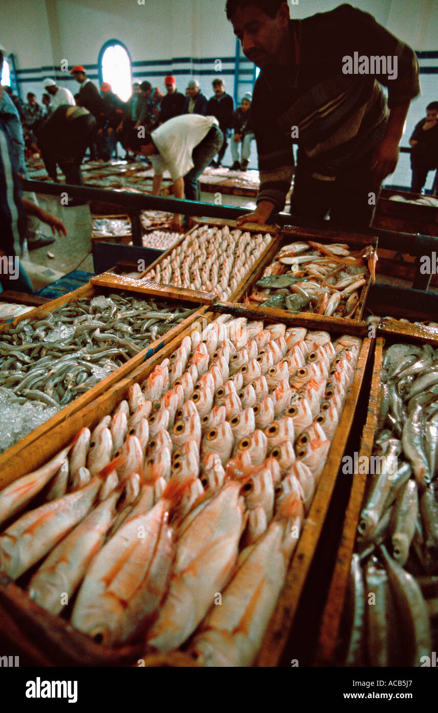 Marché de poisson dans le port d'Essaouira Maroc Banque D'Images