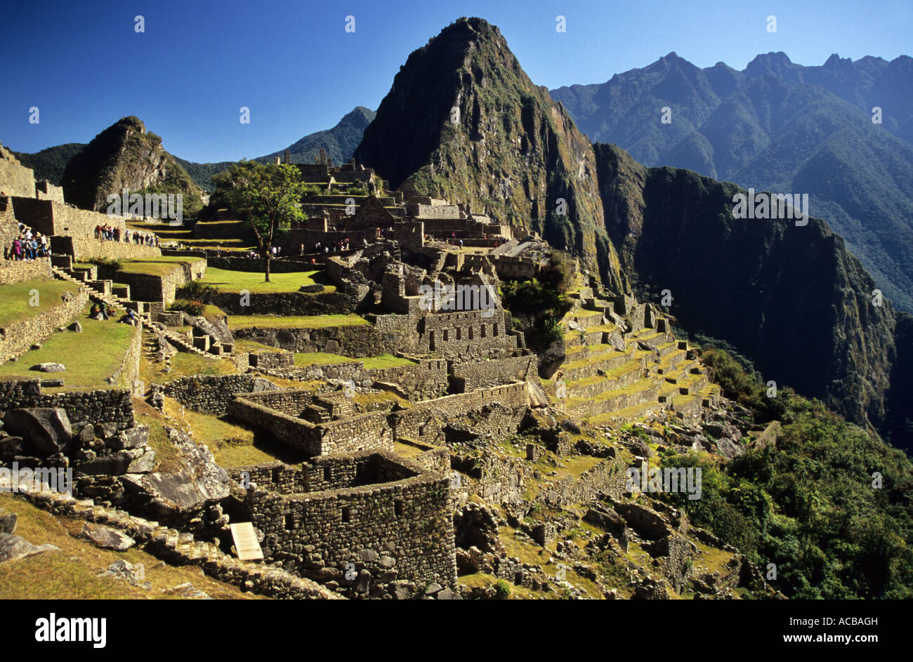 Les vestiges du Machu Picchu, Pérou Banque D'Images