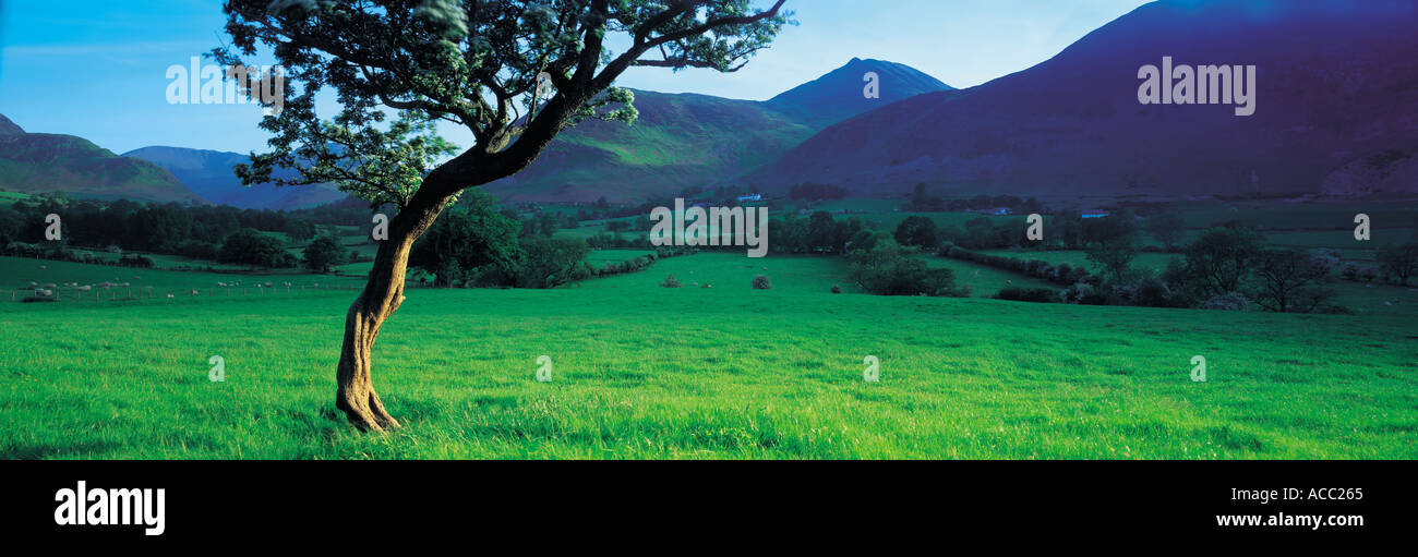 Nouvelle Vallée dans le Lake District UK Banque D'Images