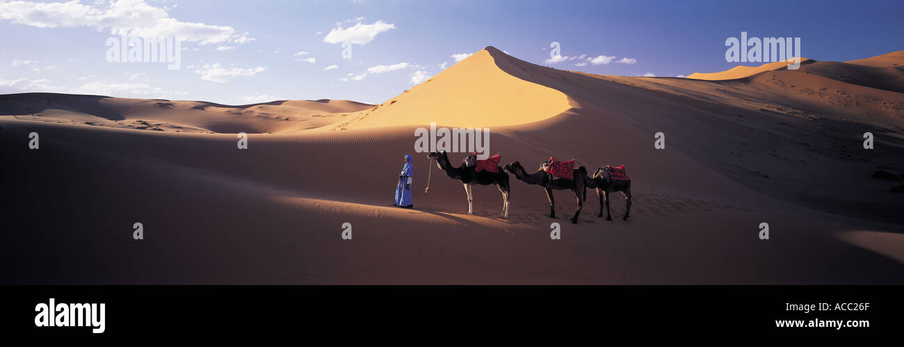 Dunes de sables bitumineux Erg Chebbie Maroc Banque D'Images
