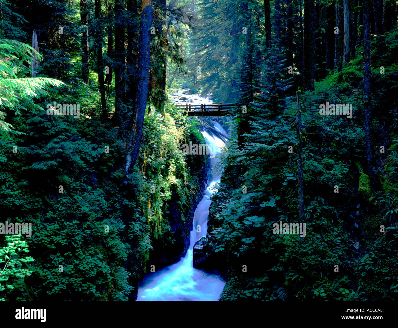Sol Duc Falls Crescent Lake Washington State USA Banque D'Images