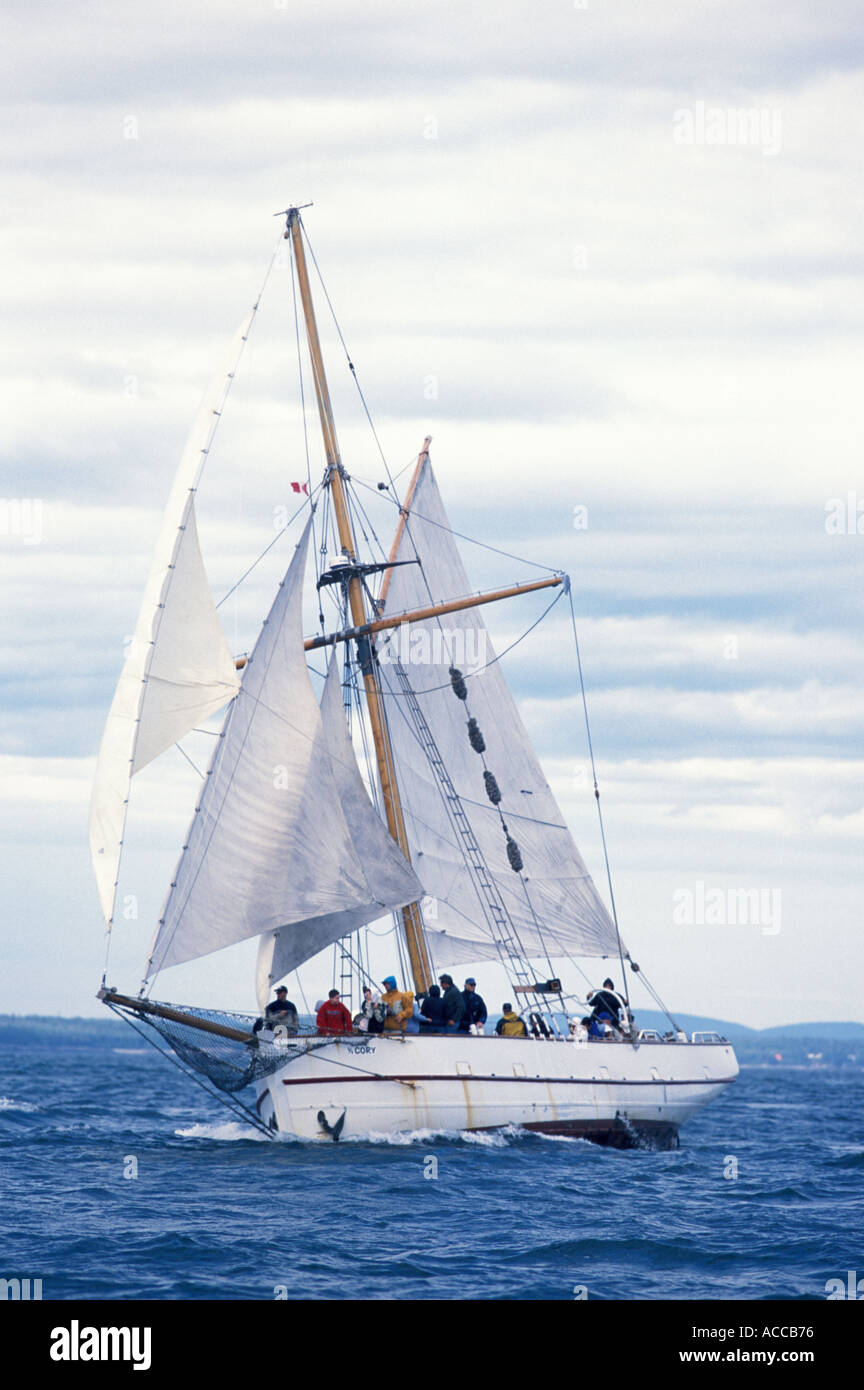 Voilier dans la baie de Fundy, Nouveau-Brunswick Canada Banque D'Images