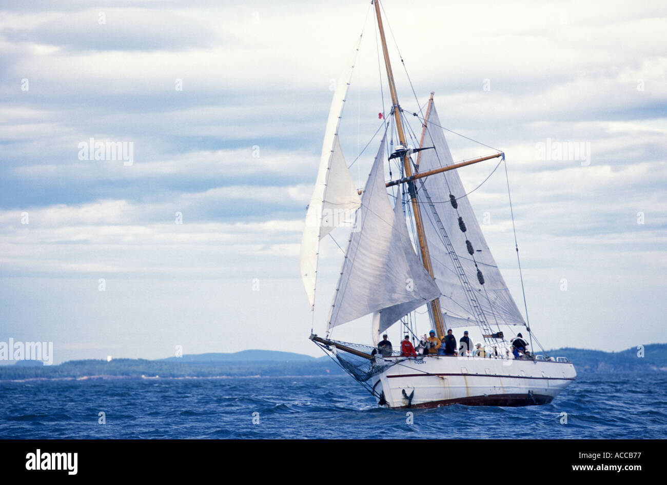 Voilier dans la baie de Fundy, Nouveau-Brunswick Canada Banque D'Images
