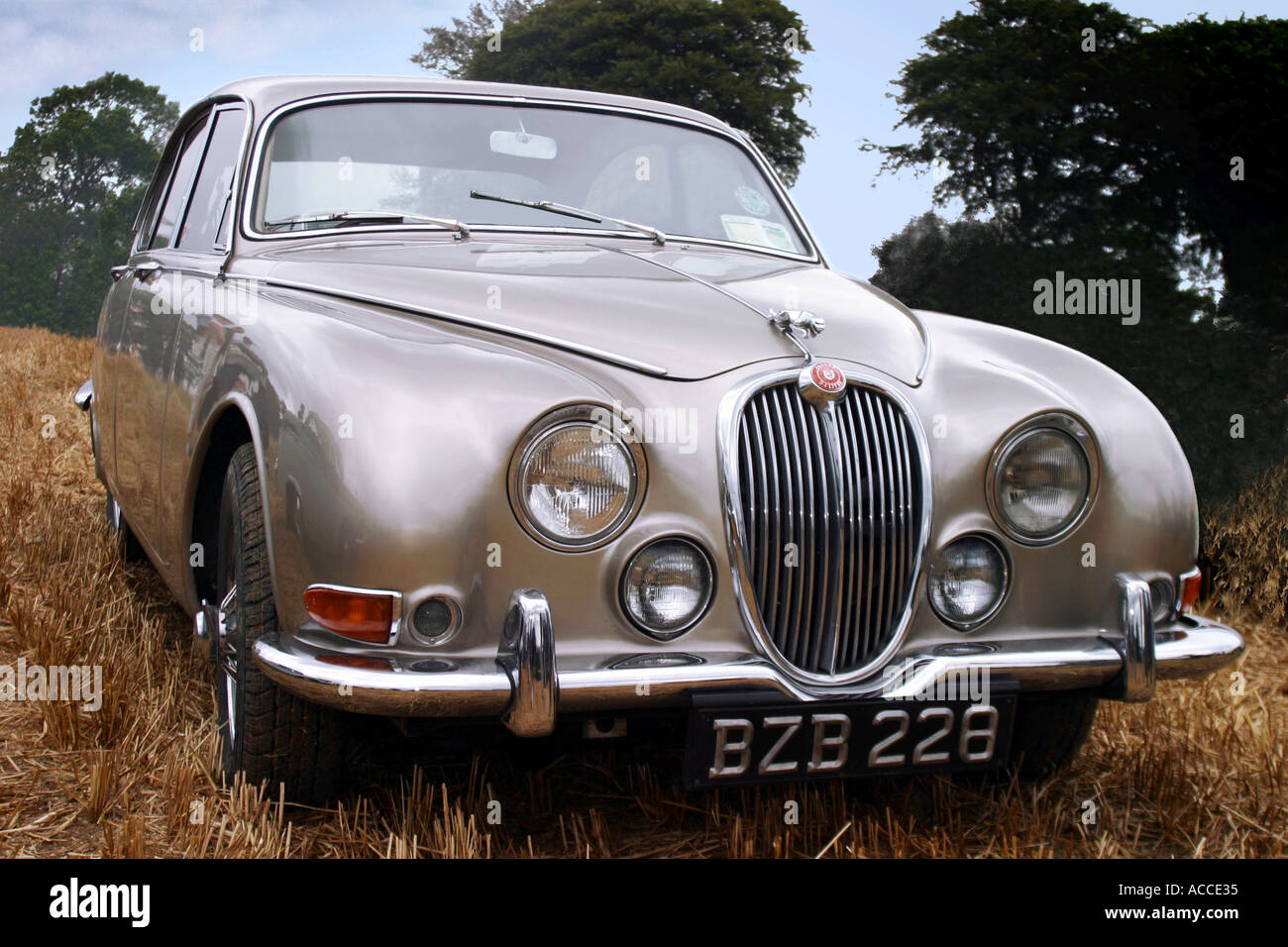 3,4 litre classique Jaguar Type S vers 1965 Banque D'Images