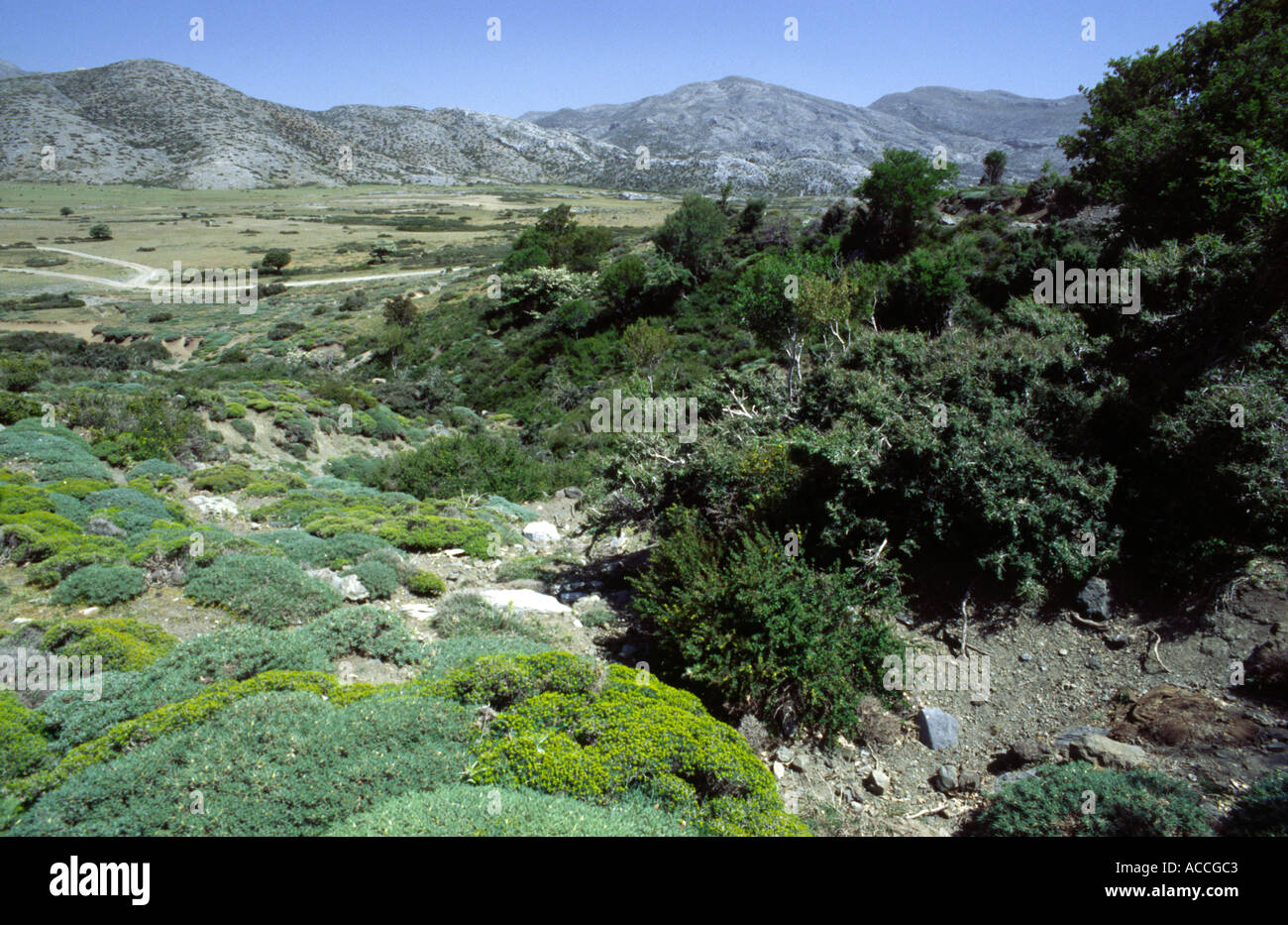 Plateau Nidha à la base du Mont Psiloritis près d'Heraklion sur l'île de Crète, Grèce Europe Banque D'Images