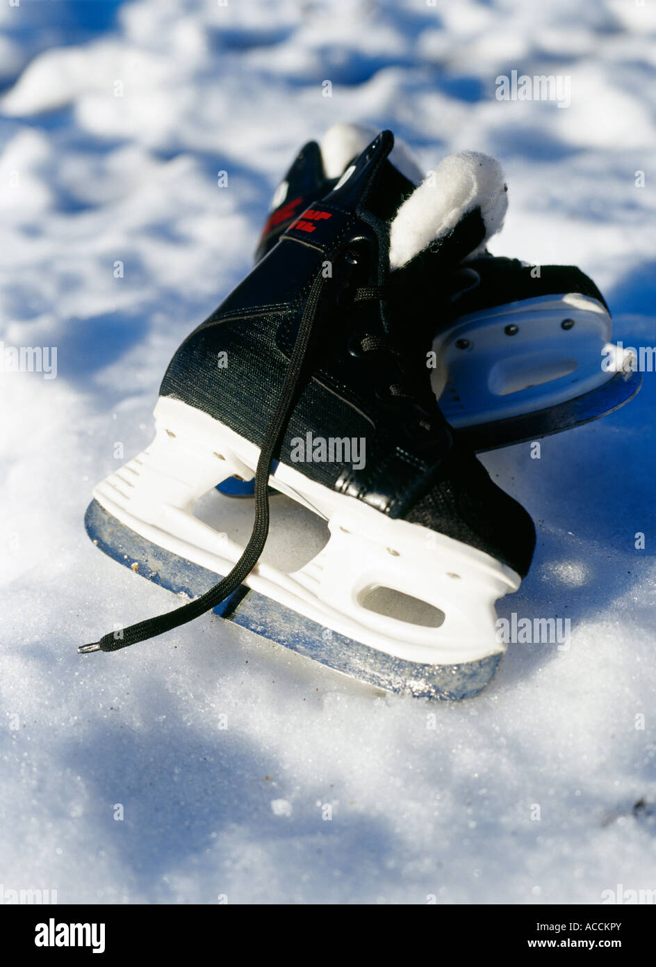 Skate allongé sur la neige Photo Stock - Alamy