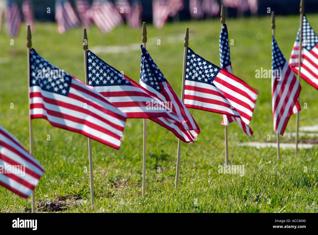 Des drapeaux américains sur les lieux de sépulture des anciens combattants sur Memorial Day Banque D'Images
