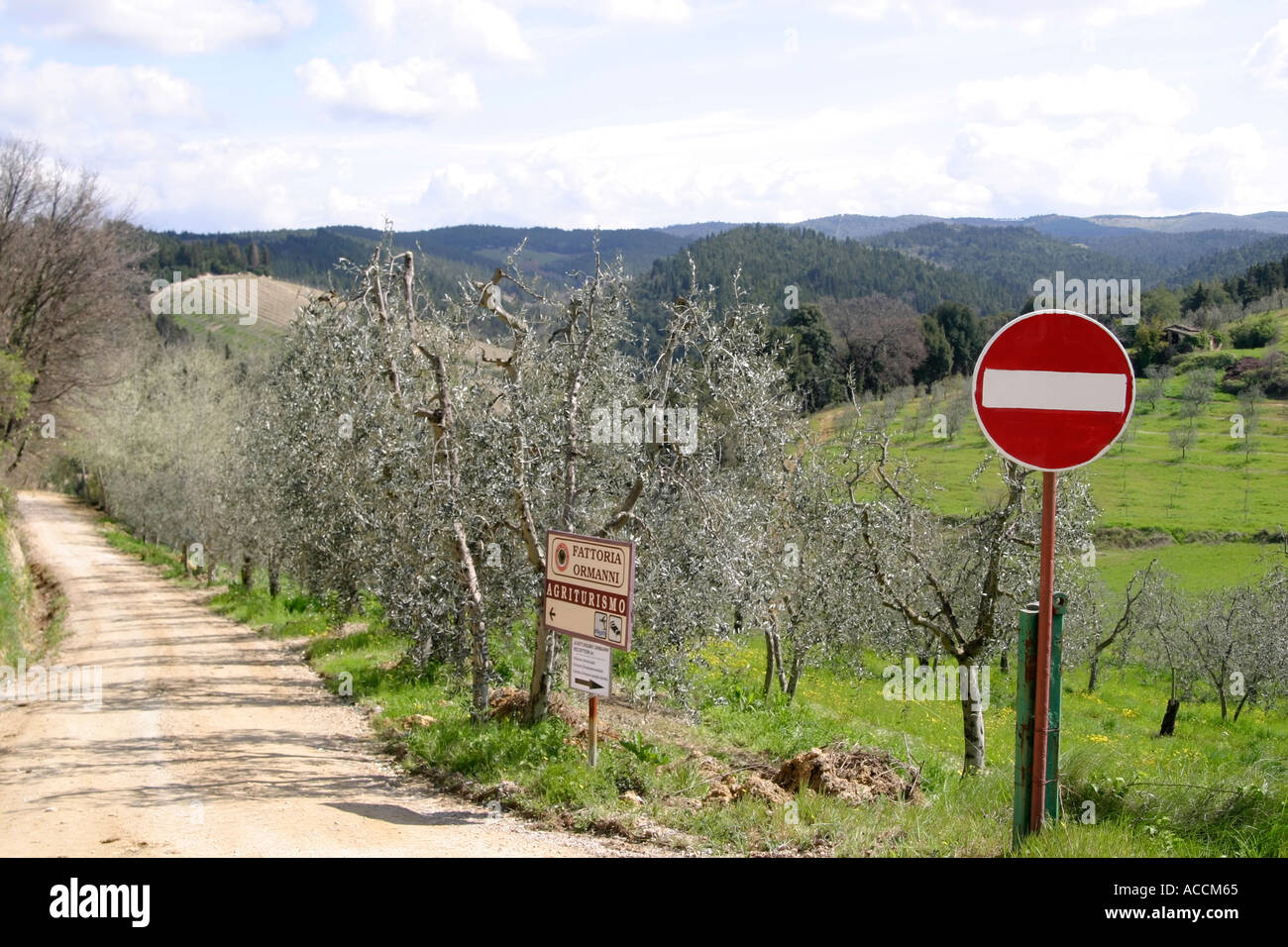 Vue panoramique en Toscane Italie Banque D'Images