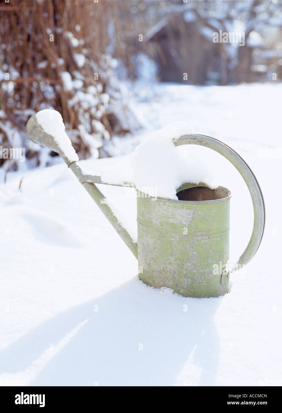 Un arrosoir dans un jardin couvert de neige. Banque D'Images