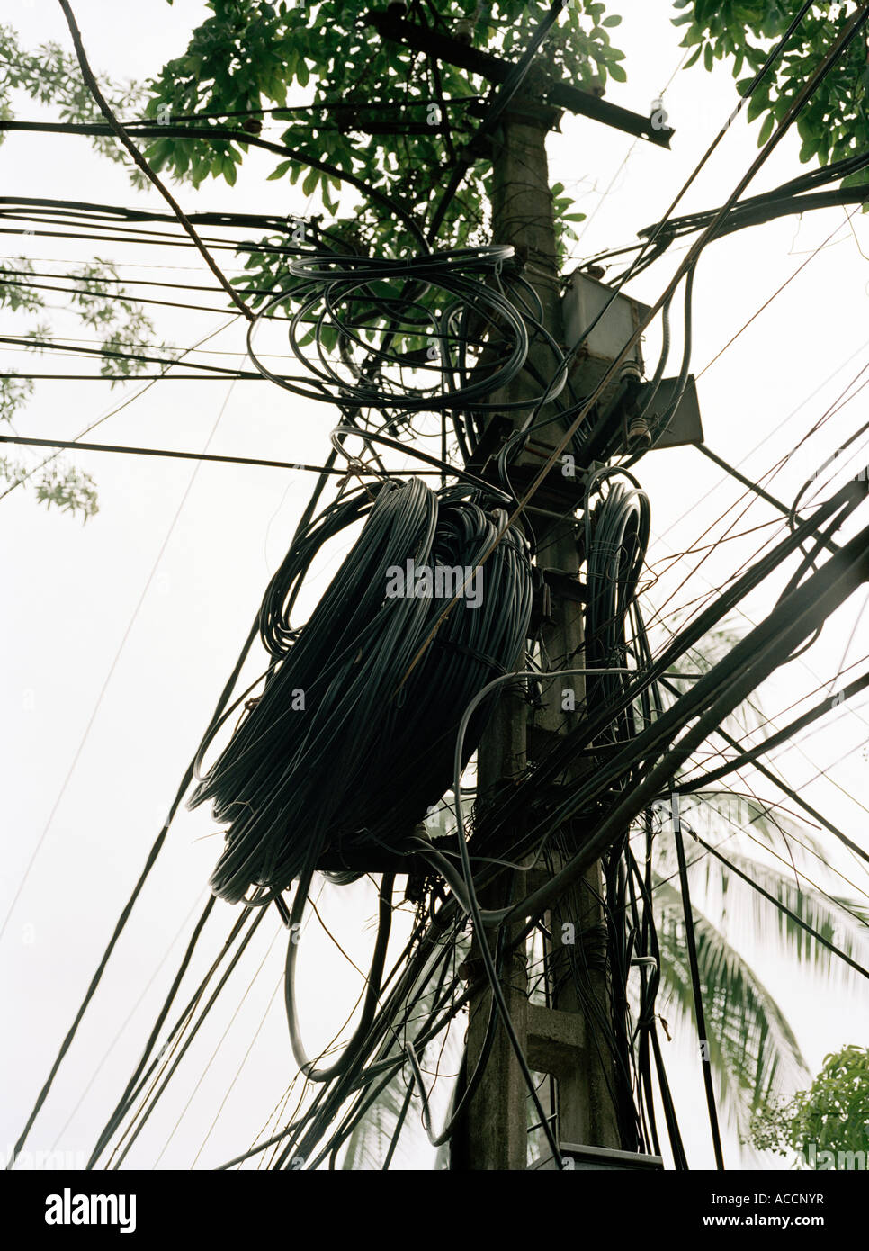 Un poteau avec des câbles. Banque D'Images