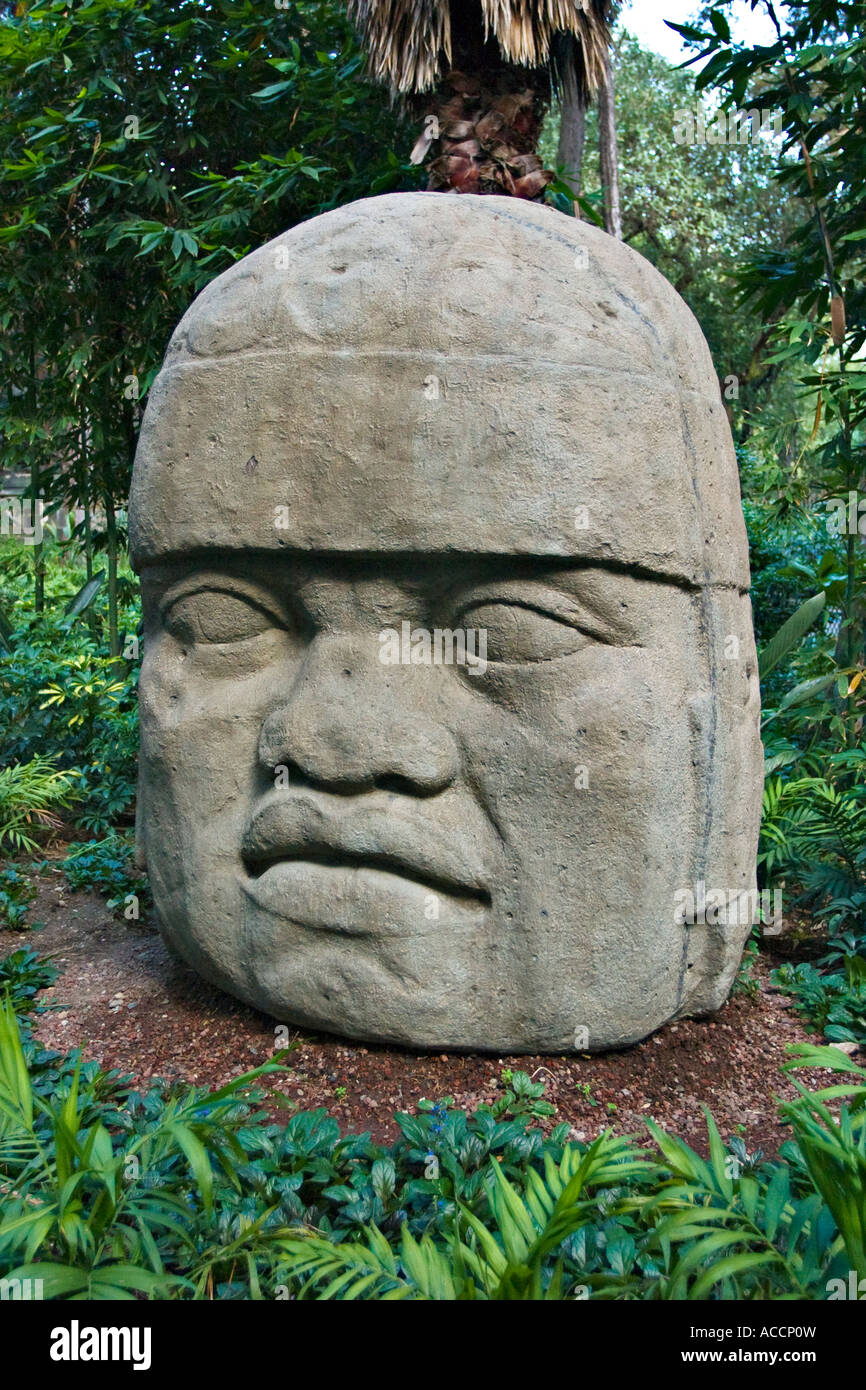 La Sculpture Colossale Olmèque, tête en musée national d'anthropologie, Musée national d'Anthropologie, Mexico, Mexique Banque D'Images