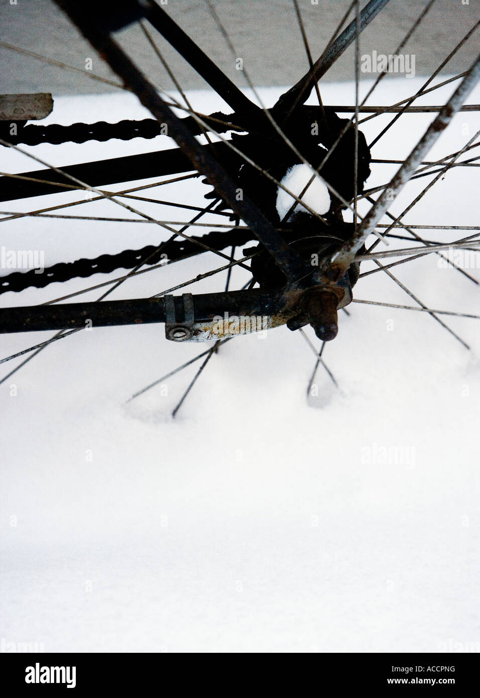 Une chute dans la roue de vélo. Banque D'Images