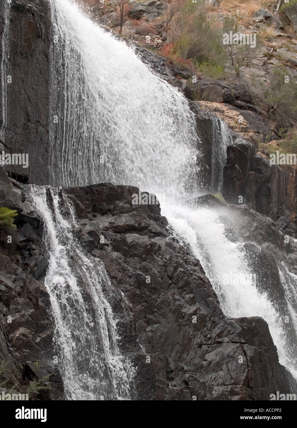 Vue détaillée de McKENZIE FALLS, Halls Gap, LE PARC NATIONAL DES GRAMPIANS, Victoria, Australie. Banque D'Images