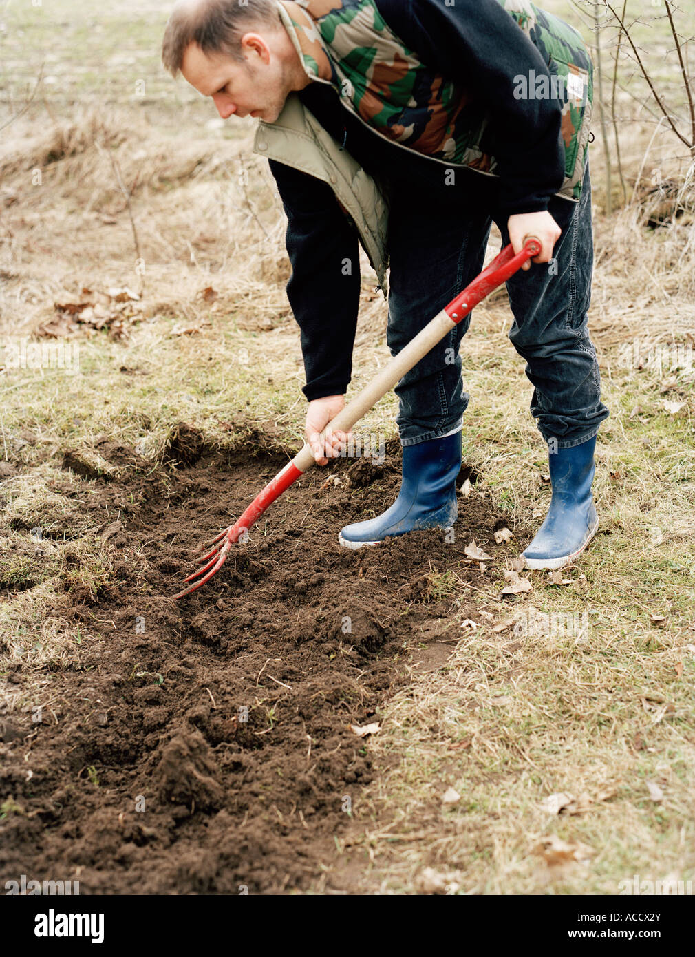 Un homme travaillant dans le jardin. Banque D'Images