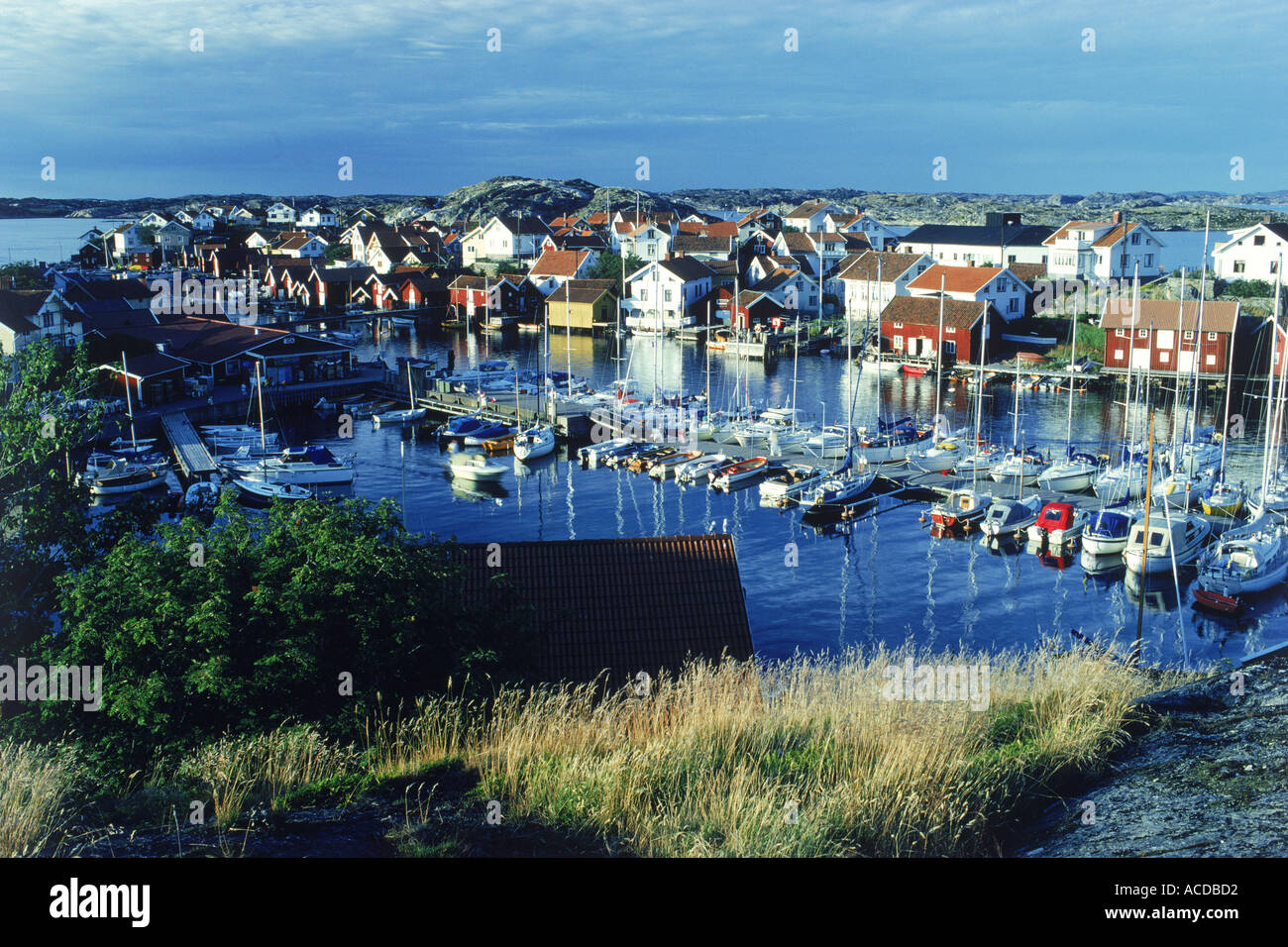 Petit port rempli de bateaux, yachts, et maisons colorées sur île de Gullholmen dans Bohuslän sur la côte ouest de la Suède Banque D'Images