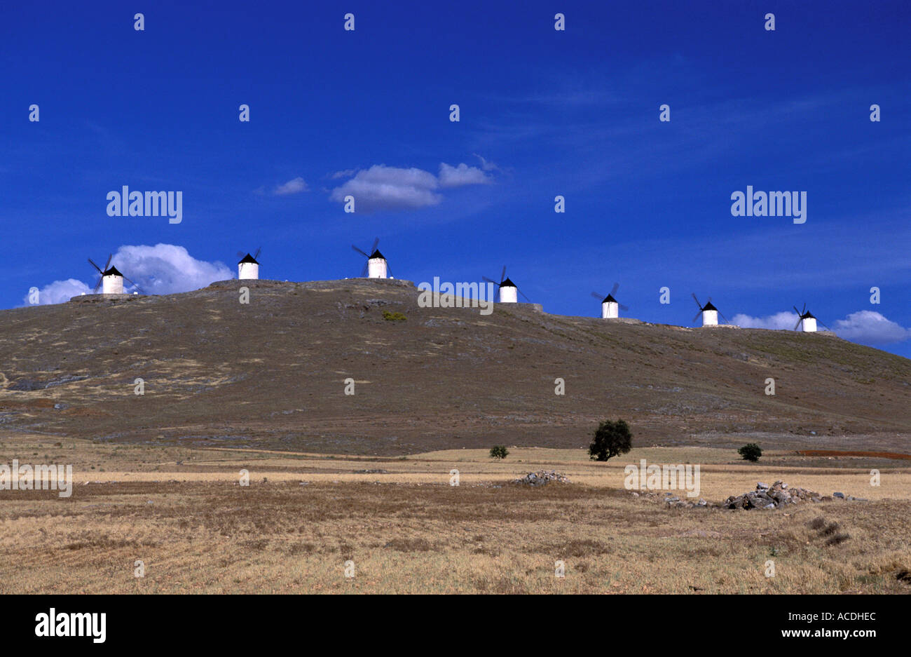 Don Quichot dans La Mancha les moulins de Consuegra Banque D'Images