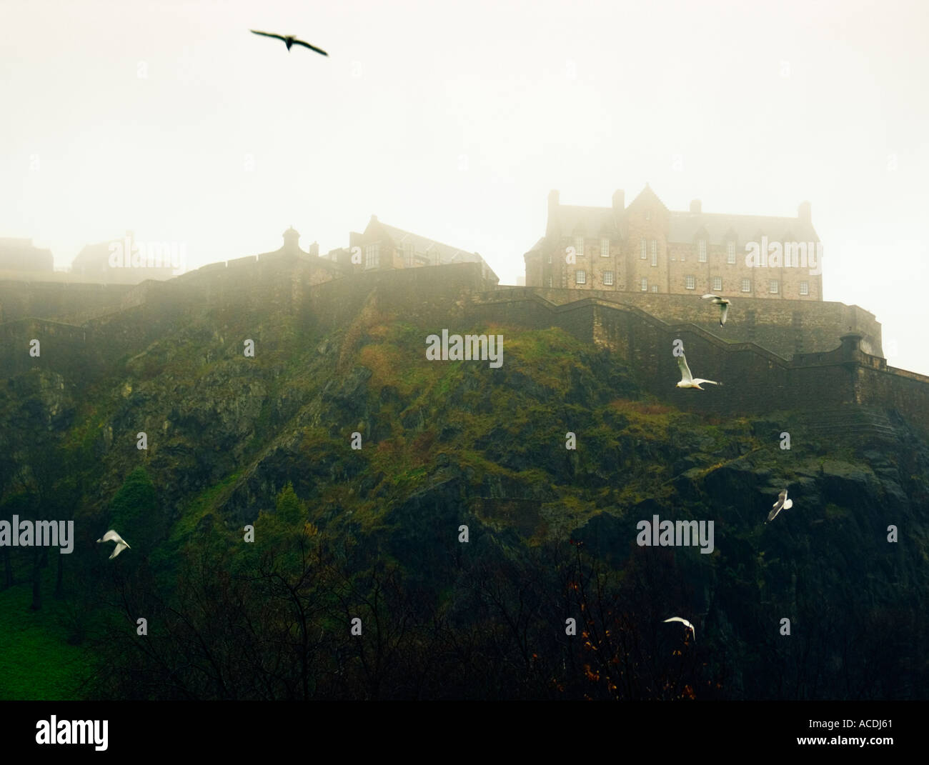 Le château d'Édimbourg en nuages bas avec les mouettes Banque D'Images