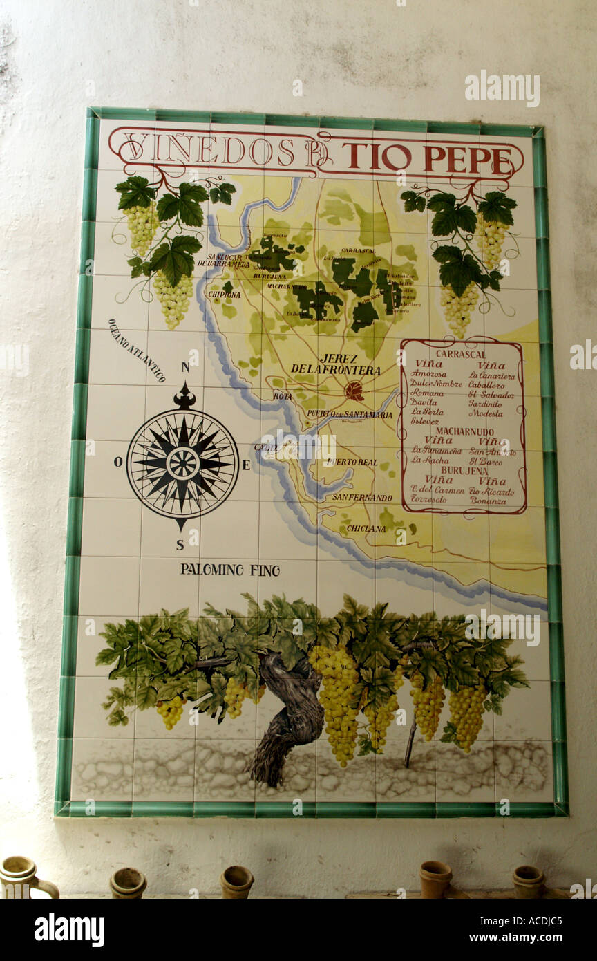 Sol carrelé Carte des vignobles Jerez de la Frontera cadiz espagne Provincia de Los Reyes à Cave Gonzalez Byass Bodegas sherry distille Banque D'Images