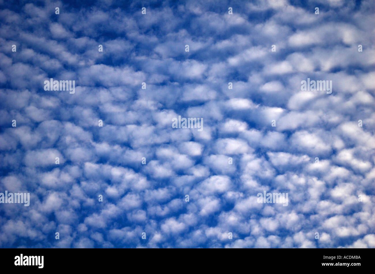 Cirro cumulus ou maquereaux ciel Banque D'Images