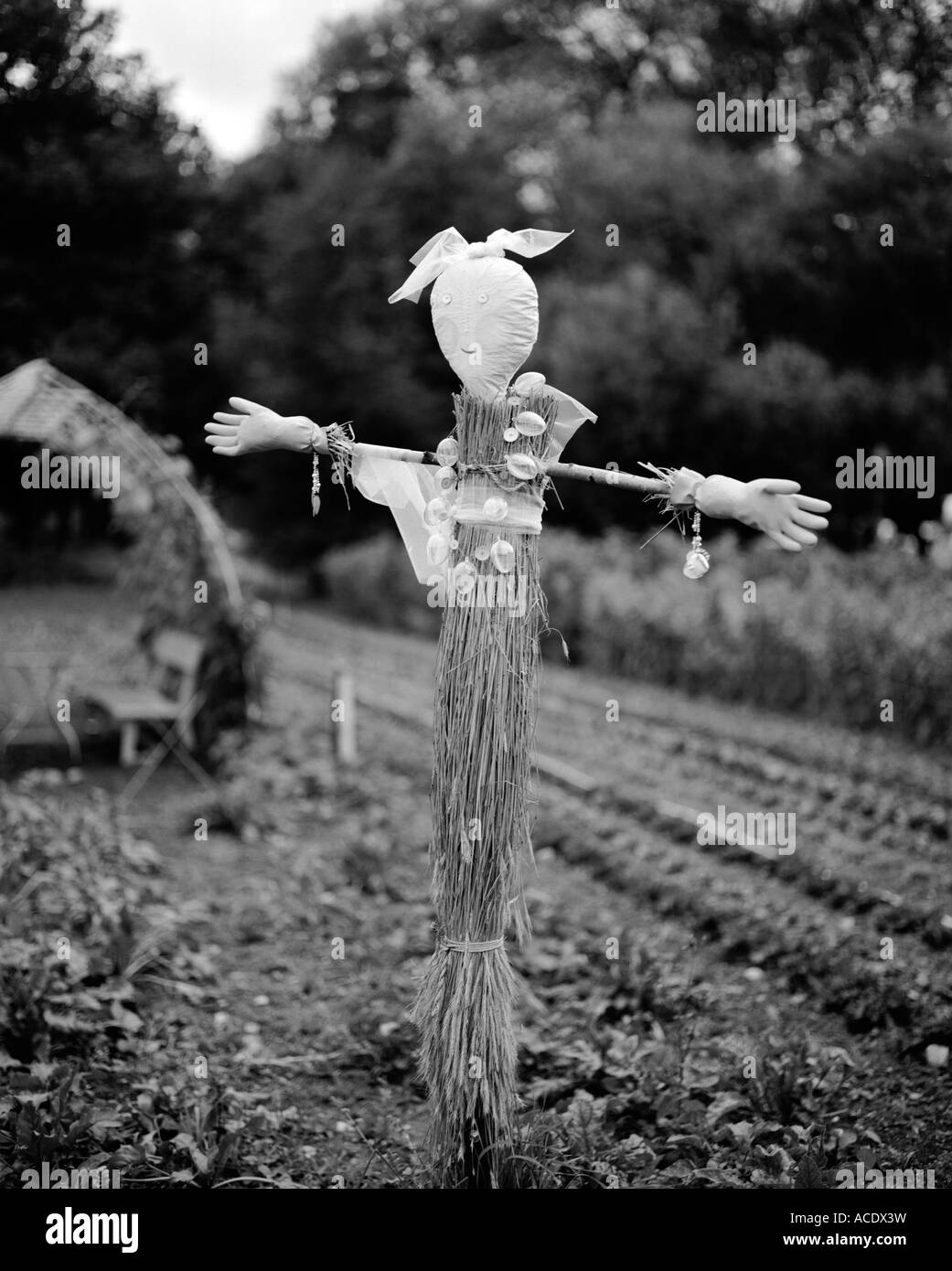Un épouvantail dans un champ. Banque D'Images
