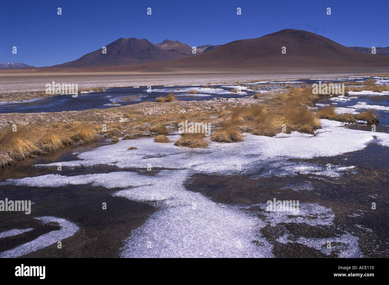 Désert d'Atacama.Le Salar de Atacama est le plus grand plat de sel du