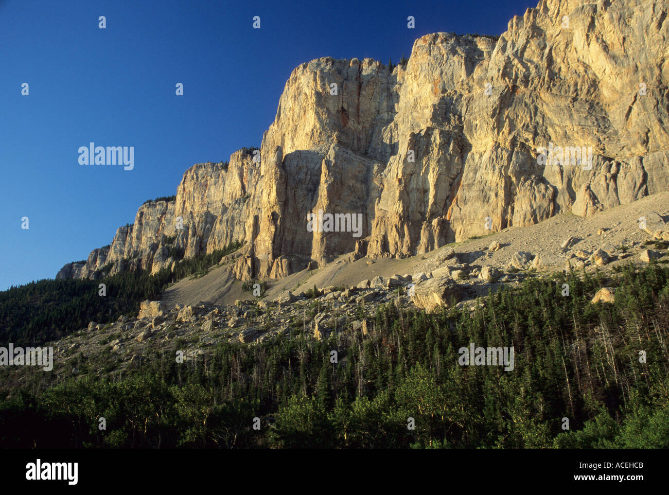 Blackleaf Canyon le long de la Rocky Mountain Front est éclairé par le soleil matinal, Montana, États-Unis d'Amérique Banque D'Images