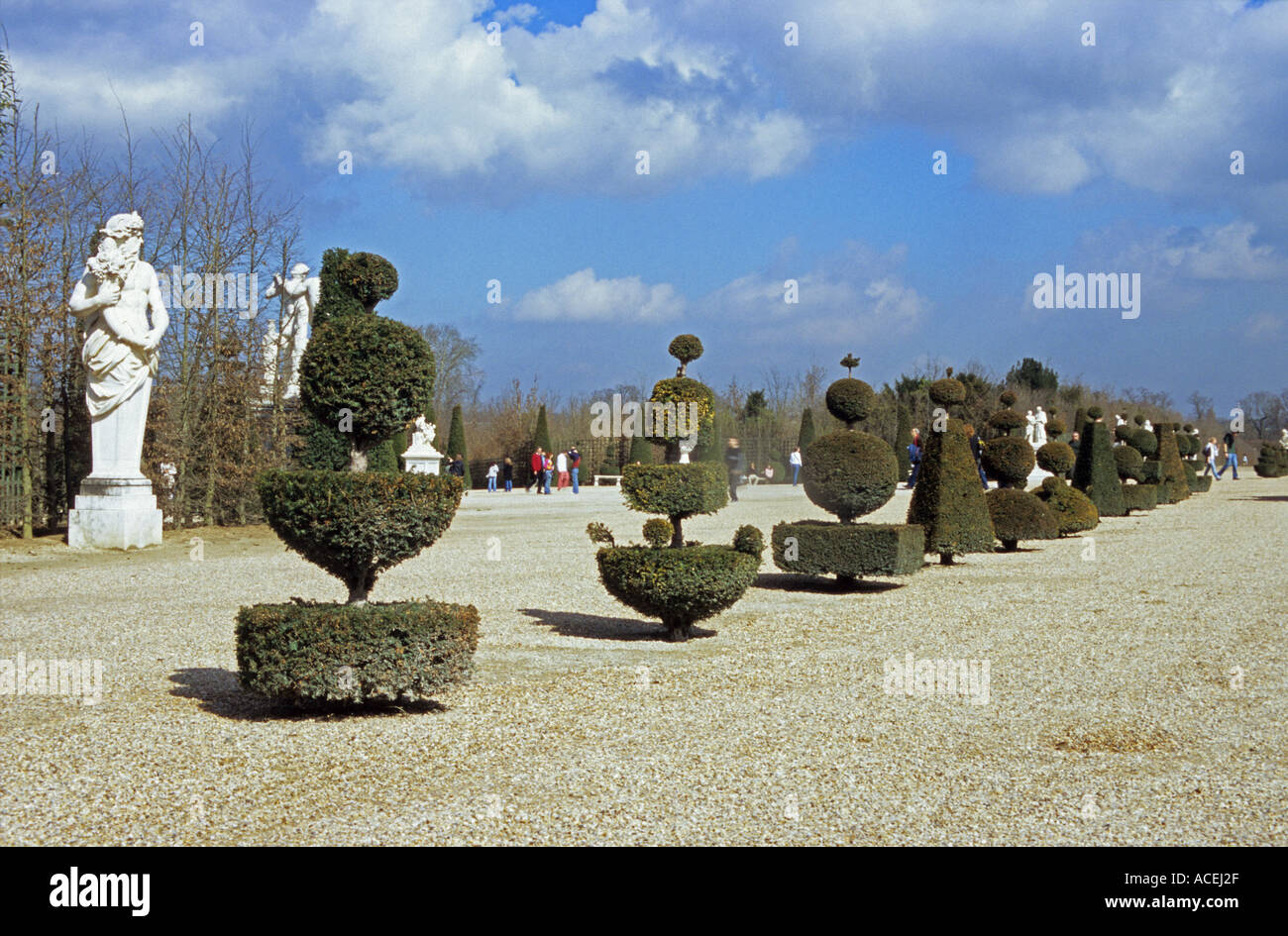 Dans les jardins de topiaires Chateau de Versailles près de Paris France Banque D'Images