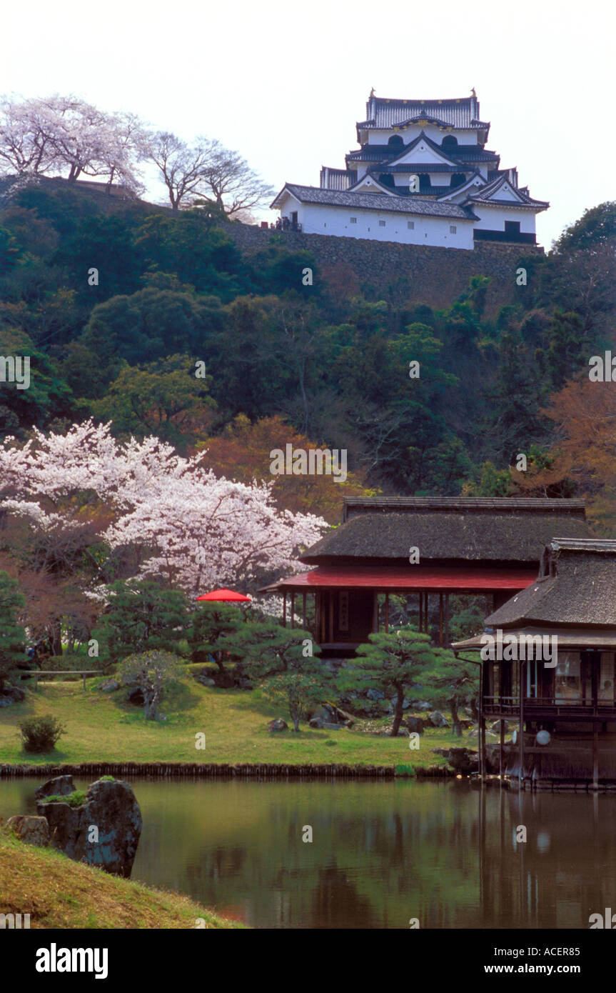 Château de Hikone vue à proximité du jardin Genkyuen avec étang au printemps Banque D'Images