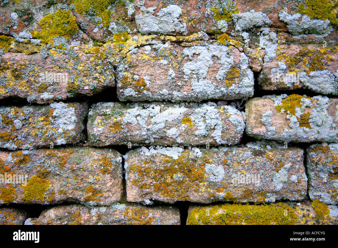 Détail du mur de pierres sèches patens Lichen briques texture Banque D'Images