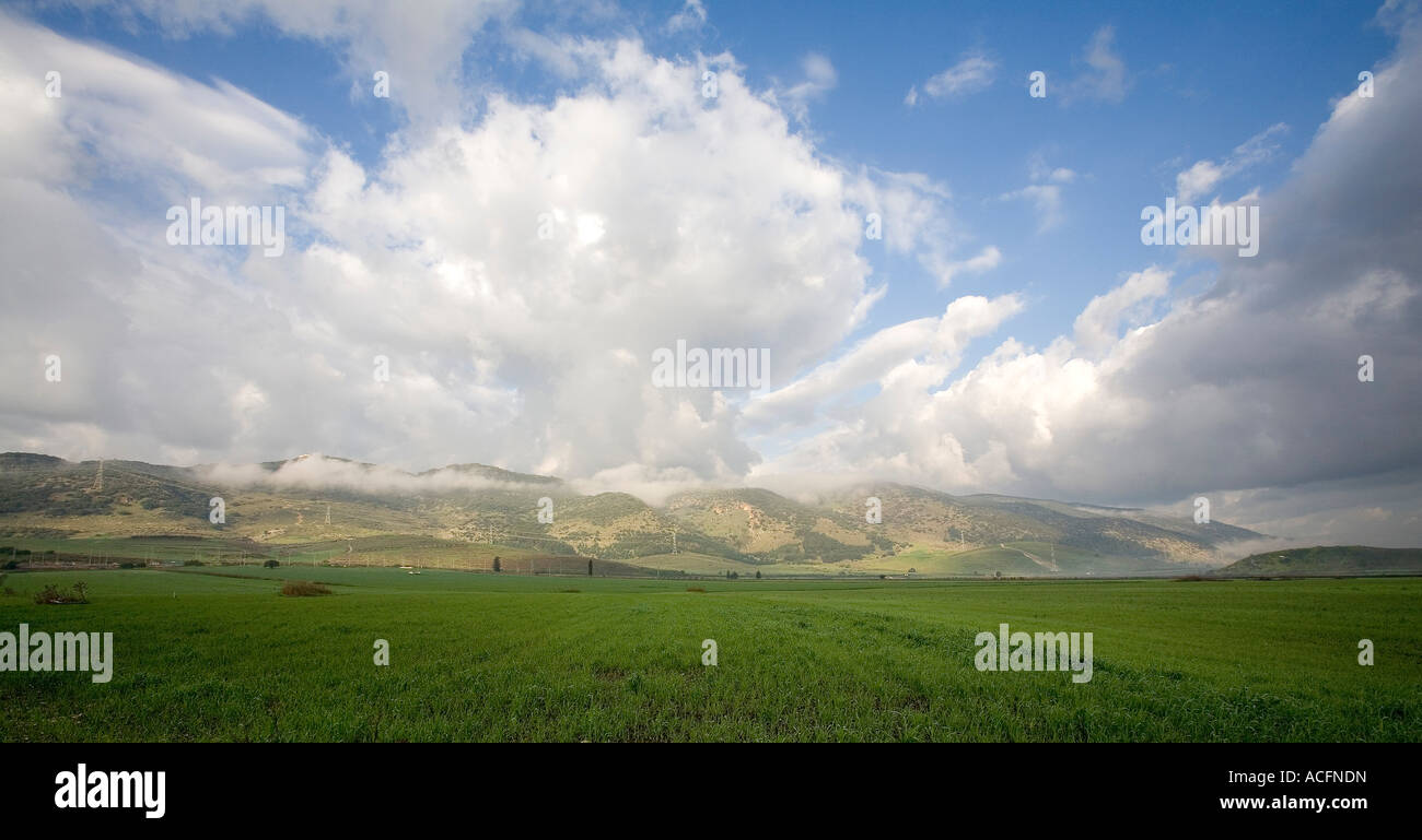 Champs dans la vallée Izrael lorsque les nuages touchent le Carmel ridge Banque D'Images