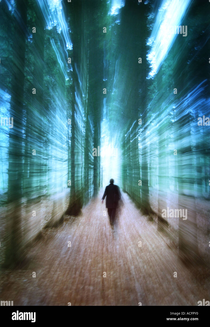 Photo d'un homme marchant à travers les arbres Banque D'Images
