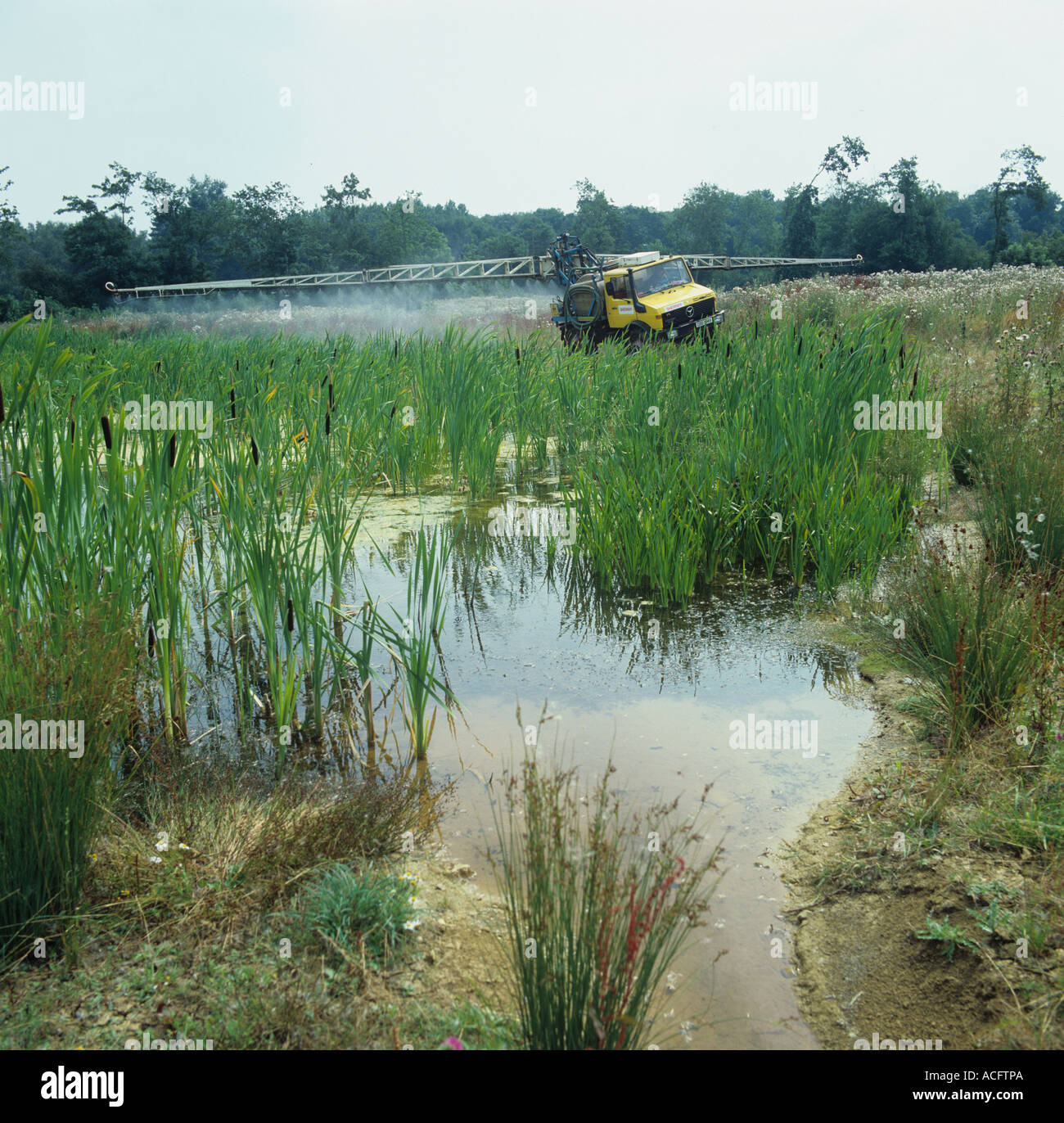 Pulvérisateur porté Unimog pulvérisation de la végétation autour de bord de l'étang avec le glyphosate Banque D'Images