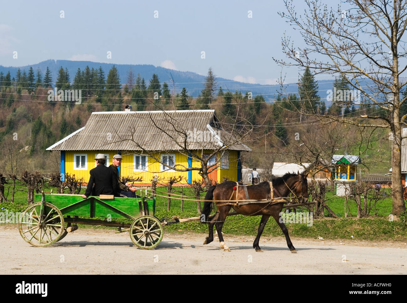 Transport à cheval dans les montagnes des Carpates l'ouest de l'Ukraine Banque D'Images