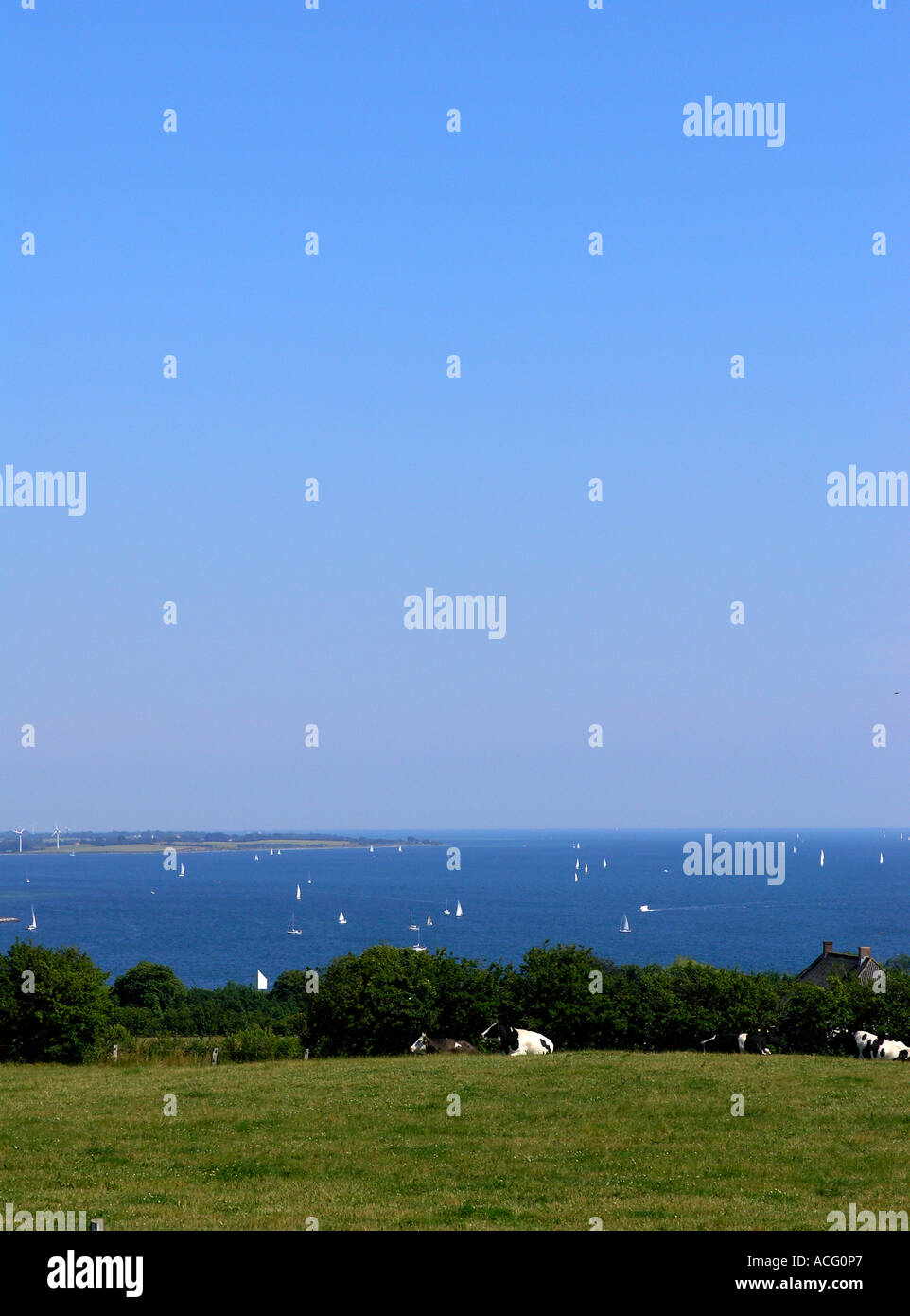 Vue sur le fjord Sonderburg Als Danemark sur une journée ensoleillée avec des centaines de yachts sur l'eau Banque D'Images