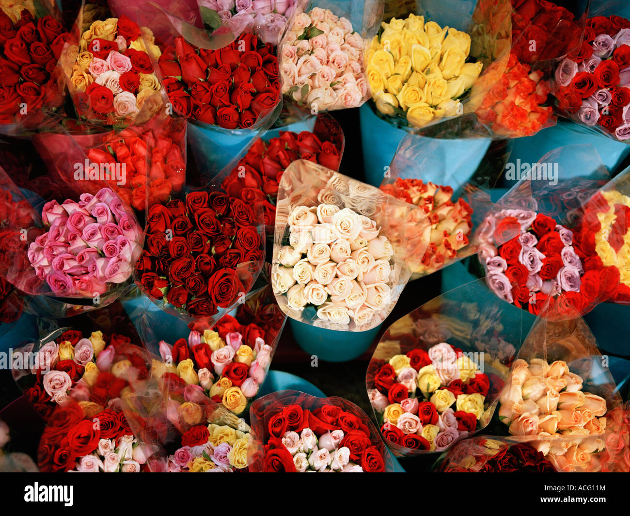 Bouquets roses emballées dans du plastique photographié d'en haut. Banque D'Images