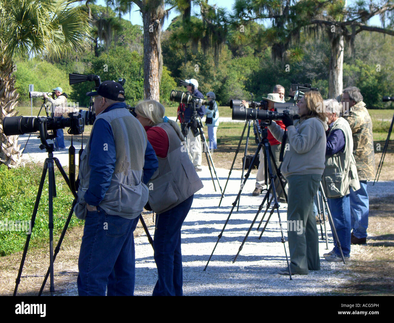 Photographes alignés pour photographier les oiseaux à l'Audubon Venise Rookery à Venise en Floride Banque D'Images