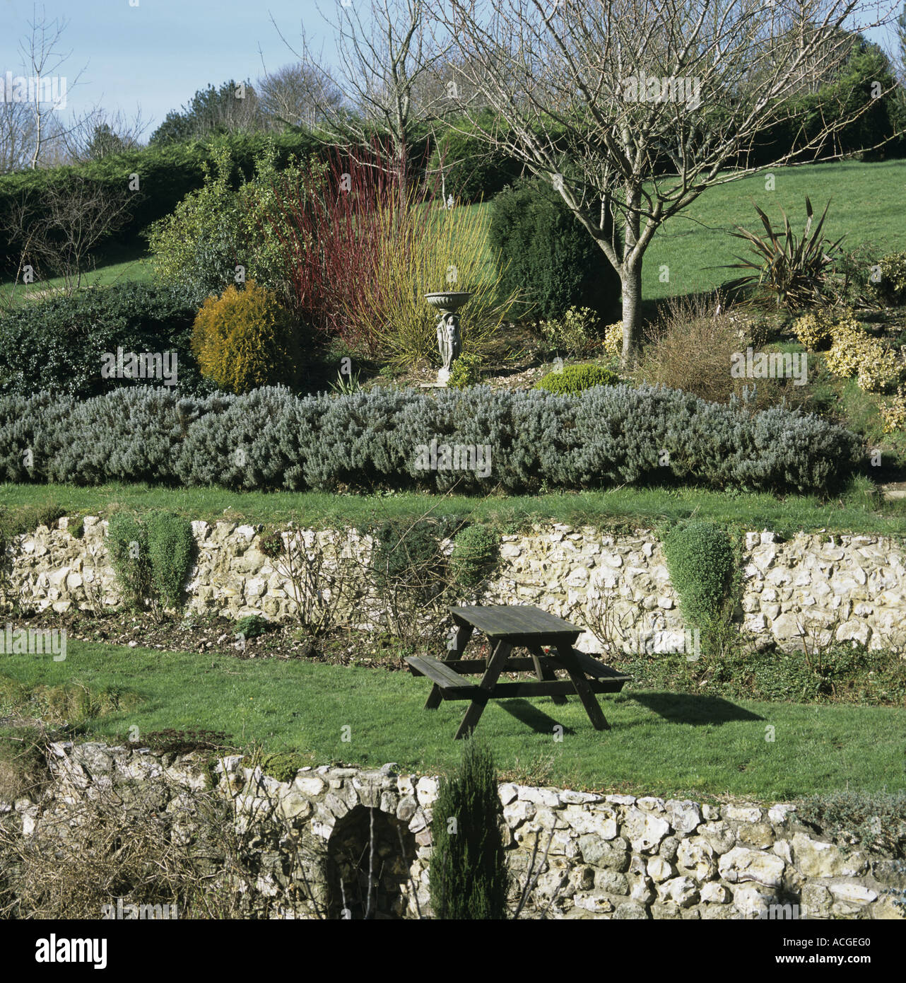 Jardin en terrasses en pente avec des murs de soutènement en pierre de feuilles d'arbustes et d'un peu de couleur en hiver Banque D'Images