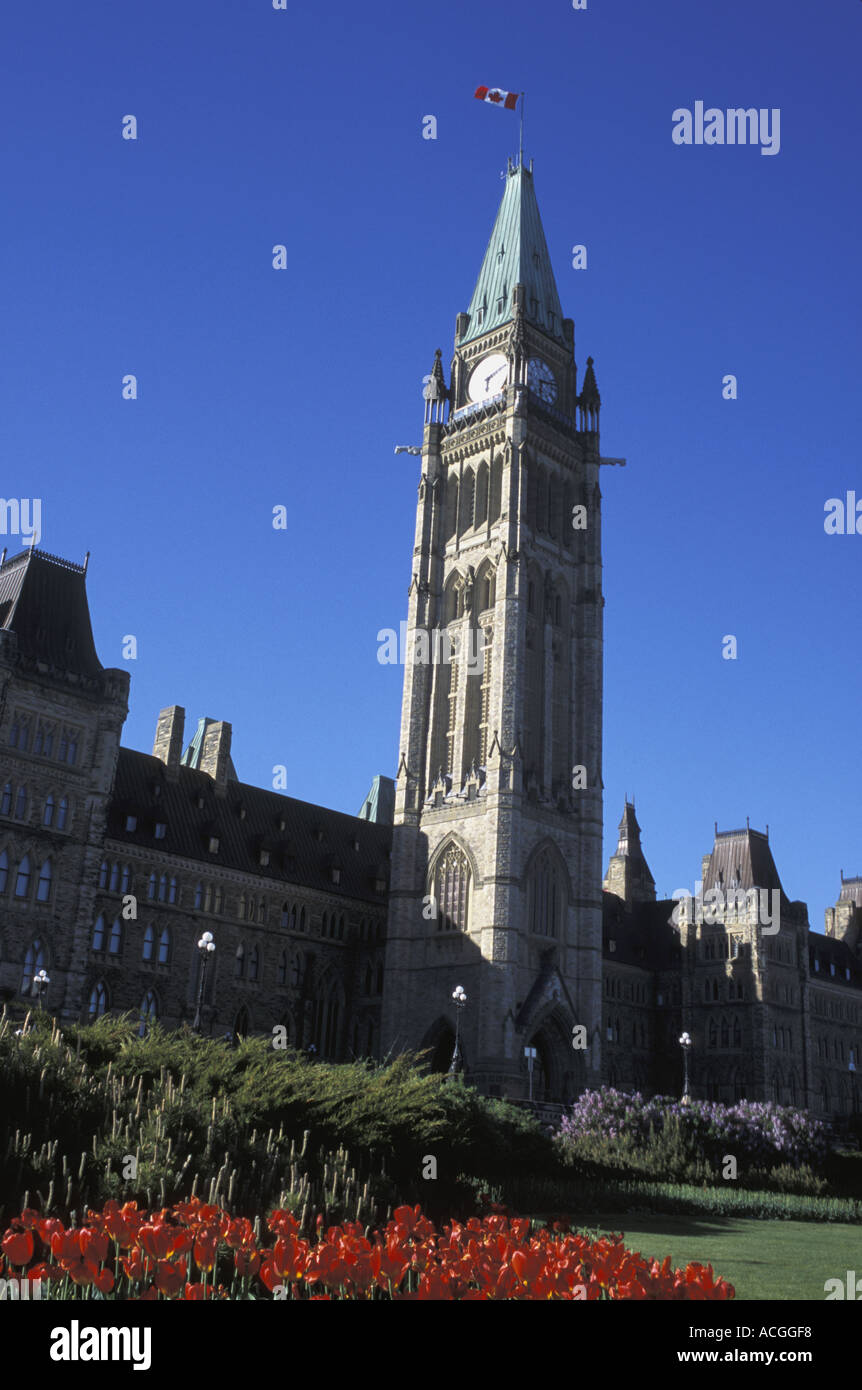 Les grands édifices et tour de l'horloge Banque D'Images