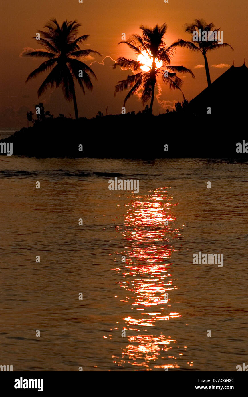 Coucher de soleil derrière les palmiers dans les Maldives Banque D'Images