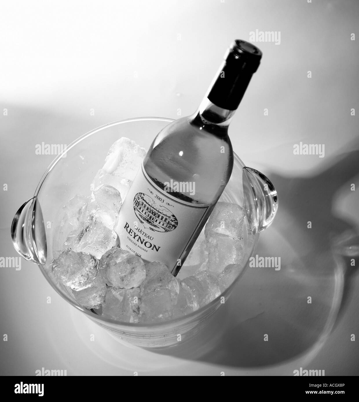 Bouteille de vin blanc dans un seau rempli de glace en noir et blanc Banque D'Images