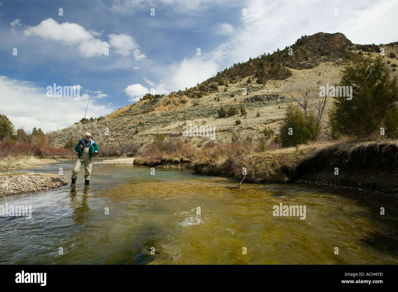 L'homme flyfishing Beaverhead river, dans le Montana, États-Unis Banque D'Images