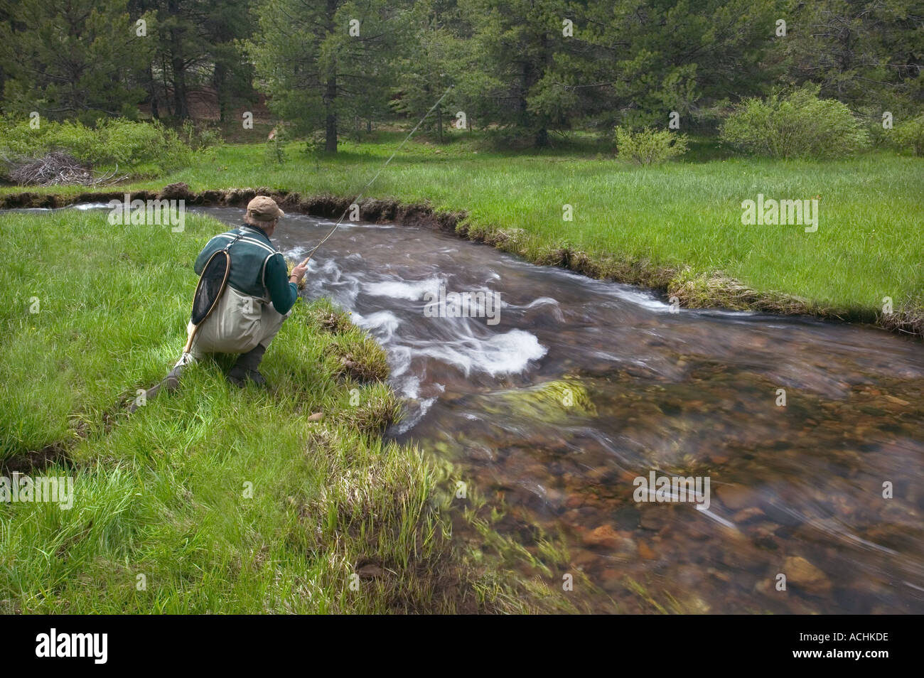 Pêche à la mouche l'homme petit ruisseau à truite modèle Sierra Nevada Image Parution Banque D'Images