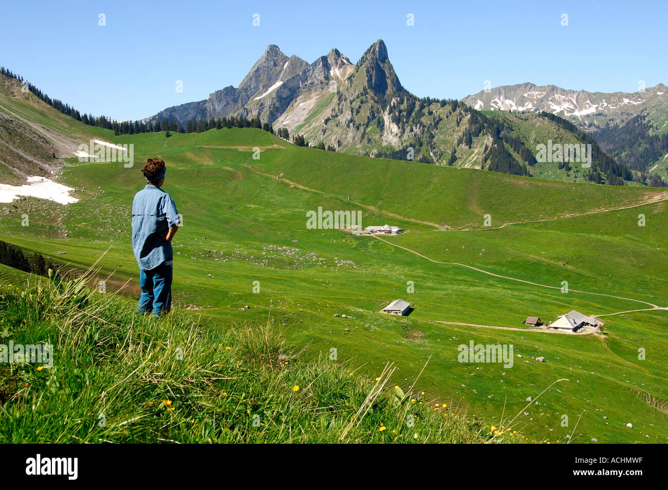 Pâturage d'altitude et Mt. Spitzfluh fribourgoises alpes Suisse Banque D'Images